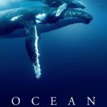 Ocean with David Attenborough (2025) oAKzcqUCP3EK7rgAx9Jj8Futv8O.jpg
