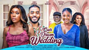 Our Dream Wedding (2024) ourdreamwedding