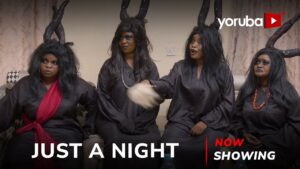 Just A Night (2024) Just A Night (2024)