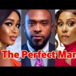 The Perfect Man (2024)
