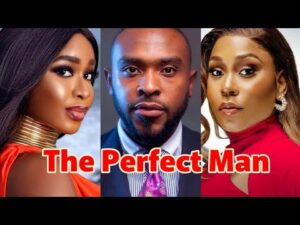 The Perfect Man (2024)