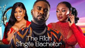 The Rich Single Bachelor (2024) The Rich Single Bachelor (2024)