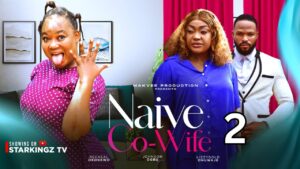 Naive Co-Wife (2024) Naive Co-Wife (2024)