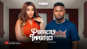 Perfectly Imperfect (2024) Perfectly Imperfect (2024)