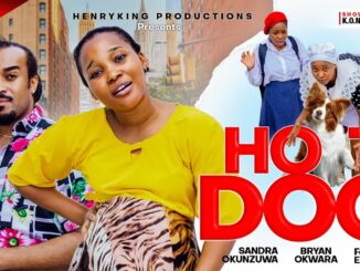 Hot Dog (2024) Netnaija Nollywood Movie