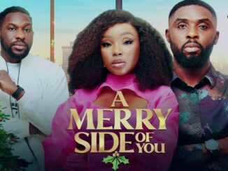 Merry Side of You (2024) Netnaija Nollywood Movie