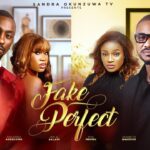 Fake Perfect (2025)