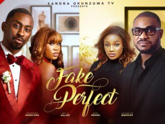 Fake Perfect (2025) Netnaija Nollywood Movie