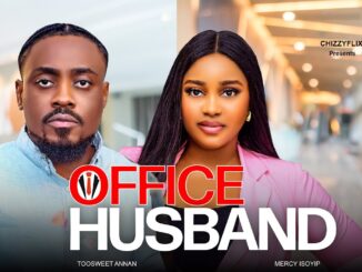 Office Husband (2025) Netnaija Nollywood Movie