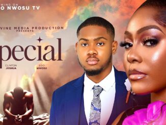 Special (2025) Netnaija Nollywood Movie