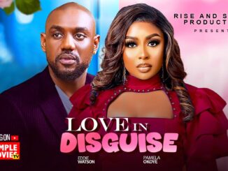 Love in Disguise (2025) Netnaija Nollywood Movie
