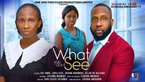 What You Don't See (2025) What You Don’t See (2025)