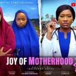 Joy of Motherhood (2025)