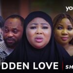 Hidden Love