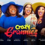 Crazy Grannies (2025)