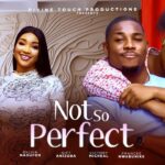 Not So Perfect (2025)