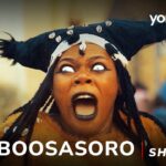 Ajiboosasoro