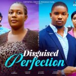 Disguised Perfection (2025)