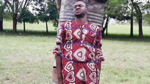 Oyenusi (2014) Oyenusi (2014)