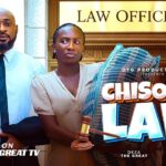 Chisom and the Law (2025)