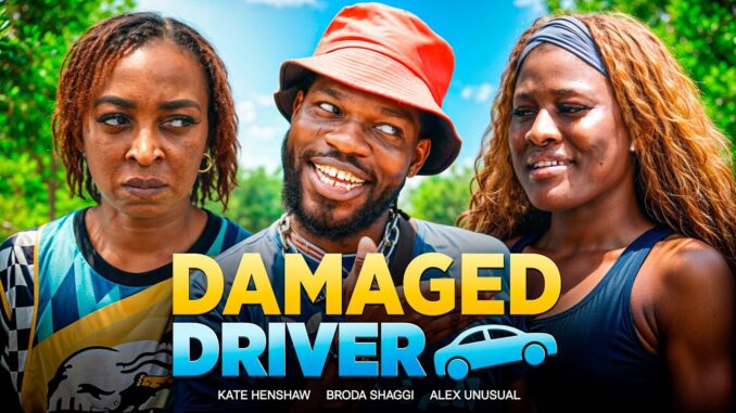 Damaged Driver (2025)