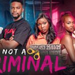 I Am Not A Criminal (2025)