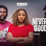 Never Say Goodbye (2025)