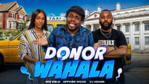 Donor Wahala (2025)