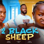 Two Black Sheep (2025)