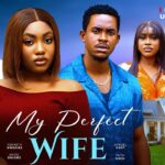 My Perfect Wife (2025)
