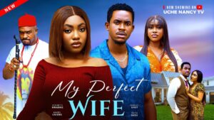 My Perfect Wife (2025)