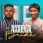 Accidental Bride (2025) Accidental Bride (2025)