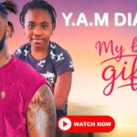 My Best Gift (2025) My Best Gift (2025)