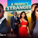 A Perfect Stranger (2026) A Perfect Stranger (2026)