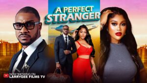 A Perfect Stranger (2026)