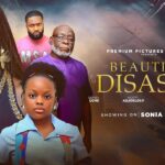 Beautiful Disaster (2026)