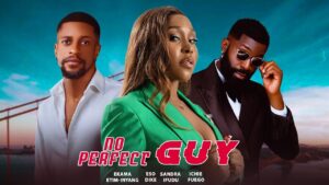 No Perfect Guy (2026) No Perfect Guy (2026)