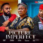 picture-imperfect-2026